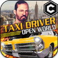 Open World Driver游戏
