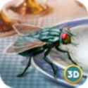 苍蝇模拟器游戏