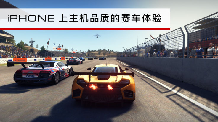 Grid Autosport游戏图4