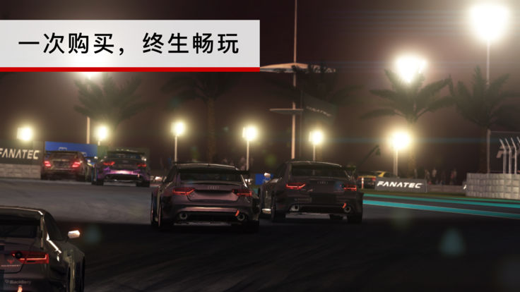 Grid Autosport游戏图1