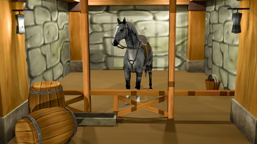 骑马锦标赛2020游戏 screenshot 2