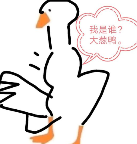 帮这只鸭子画上身体手机版图3