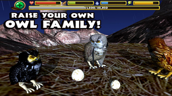 终极猫头鹰模拟器游戏 screenshot 2