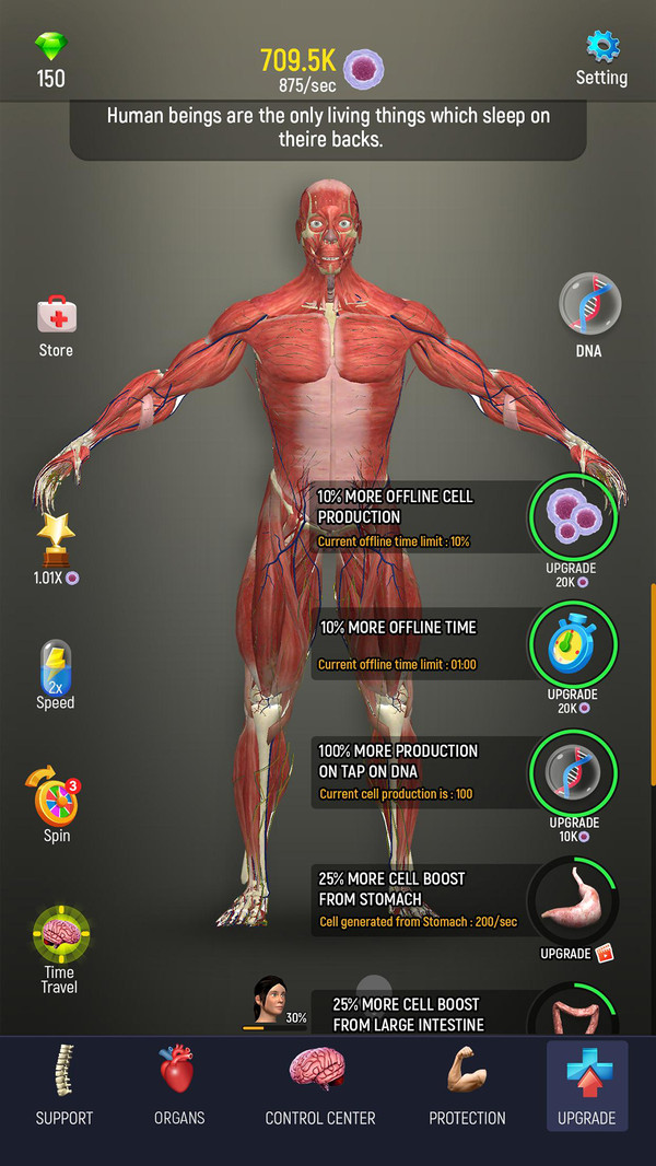 放置人体模型游戏 screenshot 1