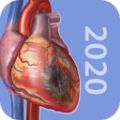 生理和病理学安卓版游戏 v1.0.11