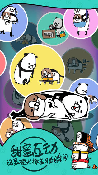 熊猫和狗狗狗什么时候都好可爱呀游戏图4