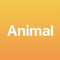 Animal_Plus APP