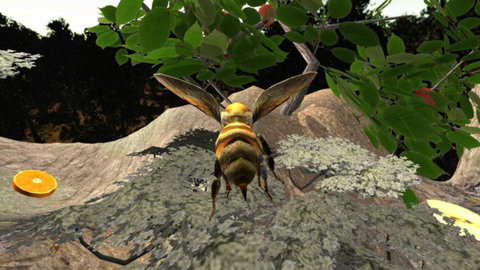 蜂巢模拟器3D游戏 screenshot 2