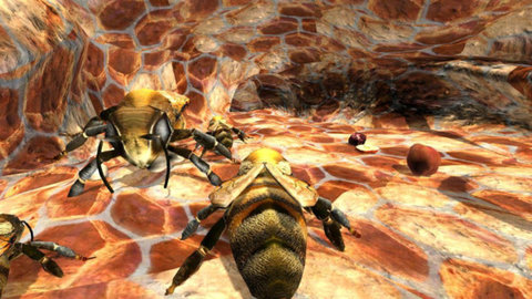 蜂巢模拟器3D游戏 screenshot 3