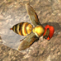 蜂巢模拟器3D游戏