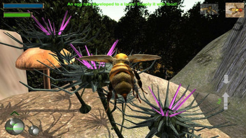 蜂巢模拟器3D游戏 screenshot 4