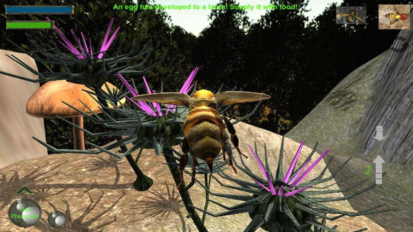 蜜蜂生存模拟器游戏 screenshot 4