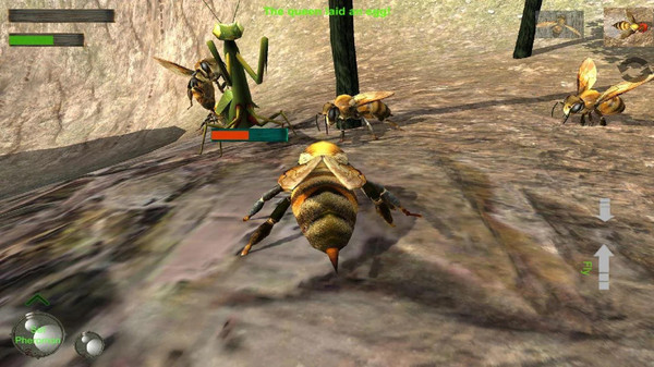 蜜蜂生存模拟器游戏 screenshot 3
