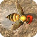 蜜蜂生存模拟器游戏