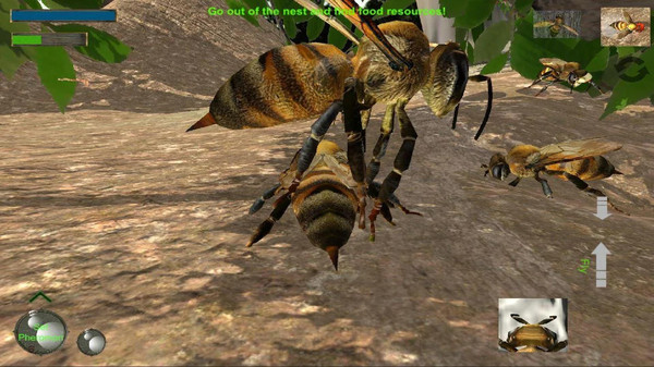蜜蜂生存模拟器游戏 screenshot 1