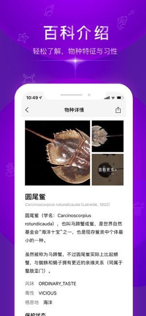 问鱼app screenshot 2