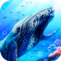 蓝鲸海洋生物模拟3D安卓版