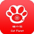 猫小花app