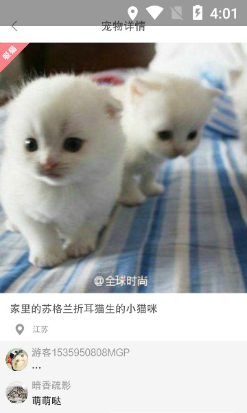 猫咪社区app官网 screenshot 1