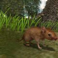 真实老鼠生存模拟器游戏