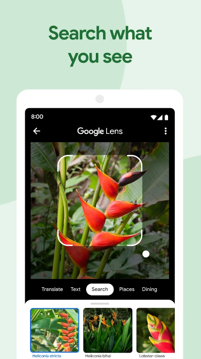 Google Photos App Android Free Download screenshot 3