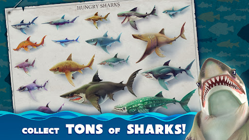 Hungry Shark World Apk Download Latest Version 2024图1