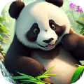 熊猫爱旅行向导app官方版 1.1