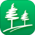 林风流量管家app