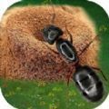 蚂蚁打不过游戏安卓版 v1.0.0