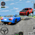 车祸司机事故3D游戏