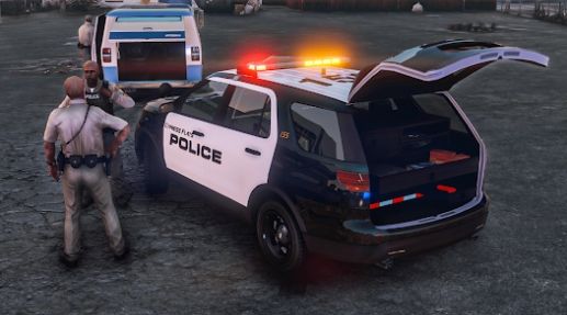 警察追车3D最新版图2