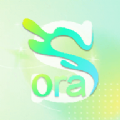 Sora视界app