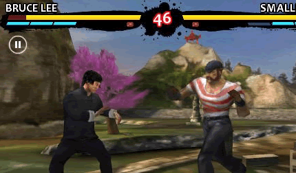 Bruce Lee Dragon Warrior screenshot 3